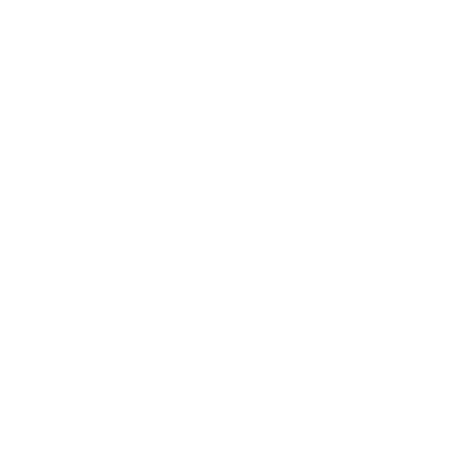 Alysson Serafim Brito